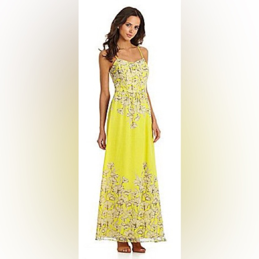 Gianni Bini Olga Floral Border-Print Maxi Dress